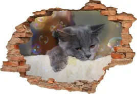 fototapeta-3d-samoprzylepna-naklejka-3d-kot-375
