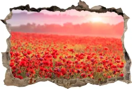 naklejki-na-sciane-fototapeta-3d-dziura-kwiaty