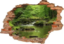 fototapeta-3d-samoprzylepna-naklejka-na-sciane-zielony-las-potok-w-lesie