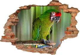 fototapeta-3d-samoprzylepna-naklejka-3d-papuga-390