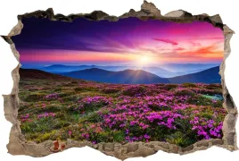fototapeta-dziura-3d-naklejka-dekoracyjna-zachod-slonca-kwiaty-gory-polana