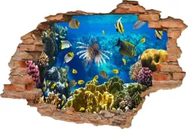 fototapeta-3d-samoprzylepna-naklejka-scienna-dziura-podwodny-swiat-rafa