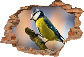 fototapeta-3d-samoprzylepna-naklejka-dziura-w-scianie-sikorka-ptak