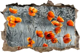 fototapeta-dziura-3d-naklejka-na-sciane-maki-kwiat