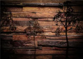 fototapety-3d-fizelin-drewno-deski-320x230-wybor