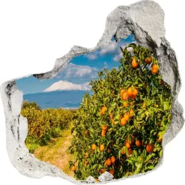 naklejki-na-sciane-scienne-3d-dziura-drzewo-298