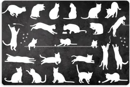 antyposlizgowa-ochronna-mata-pod-miske-kuwete-dla-kota-kotki-59x39cm