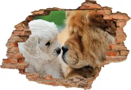 fototapeta-3d-samoprzylepna-naklejka-3d-psy-393