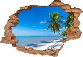 fototapeta-3d-samoprzylepna-naklejka-dziura-w-scianie-palma-na-plazy