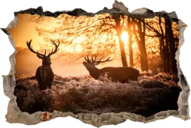 naklejki-na-sciane-fototapeta-3d-dziura-jelenie