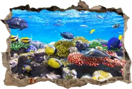 naklejki-na-sciane-fototapeta-3d-dziura-morze