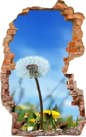 naklejki-na-sciane-fototapeta-dziura-606-mlecz