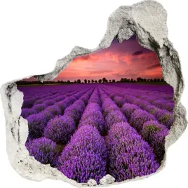 naklejki-na-sciane-scienne-3d-dziura-pole-262