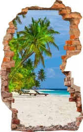 naklejki-na-sciane-fototapeta-dziura-506-palmy