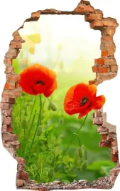 naklejki-na-sciane-fototapeta-dziura-601-makowki