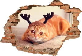 fototapeta-3d-samoprzylepna-naklejka-3d-kot-384