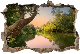fototapeta-dziura-3d-naklejka-drzewo-jeziro-natura