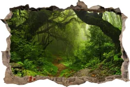 fototapeta-dziura-3d-naklejka-na-sciane-zielen-las