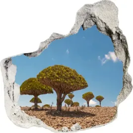 naklejki-na-sciane-scienne-3d-dziura-drzewa-235