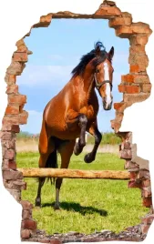 naklejki-na-sciane-fototapeta-dziura-651-kon
