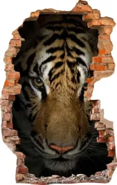 naklejki-na-sciane-fototapeta-dziura-503-tygrys