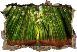 fototapeta-dziura-3d-naklejka-las-bambusowy-drzewa