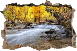 fototapeta-dziura-3d-naklejka-potok-jesien-las