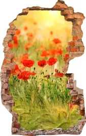 naklejki-na-sciane-fototapeta-dziura-517-kwiaty