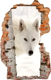 naklejki-na-sciane-fototapeta-dziura-593-wilk