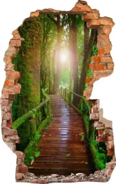 naklejki-na-sciane-fototapeta-dziura-673-most