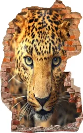 naklejki-na-sciane-fototapeta-dziura-594-jaguar