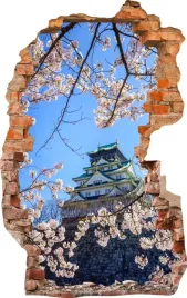 naklejki-na-sciane-fototapeta-dziura-636-chiny