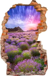 naklejki-na-sciane-fototapeta-dziura-519-kwiaty