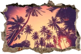 fototapeta-dziura-3d-naklejka-na-sciane-palmy