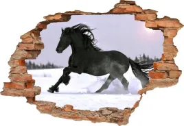 fototapeta-3d-samoprzylepna-naklejka-3d-kon-333