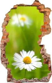 naklejki-na-sciane-fototapeta-3d-dziura-584-kwiat