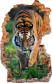 naklejki-na-sciane-fototapeta-3d-dziura-661-tygrys