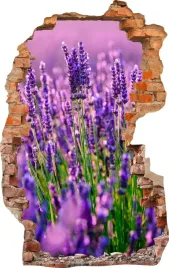 naklejki-na-sciane-fototapeta-dziura-744-kwiaty