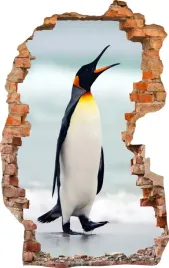 naklejki-na-sciane-fototapeta-dziura-696-pingwin