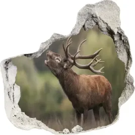 naklejki-na-sciane-scienne-3d-dziura-los-117