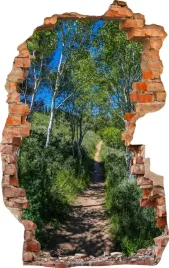 naklejki-na-sciane-fototapeta-dziura-750-las