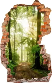 naklejki-na-sciane-fototapeta-dziura-709-natura