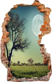 naklejki-na-sciane-fototapeta-dziura-718-noc