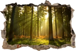 fototapeta-dziura-3d-naklejka-las-promienie-slonce