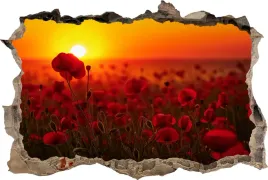 naklejki-na-sciane-fototapeta-3d-dziura-kwiaty