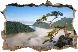 naklejka-dekoracyjna-na-sciane-fototapeta-3d-dziura-gory-szczyt-sokolica
