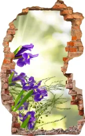 naklejki-na-sciane-fototapeta-dziura-638-kwiaty