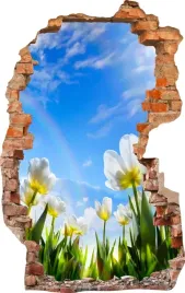naklejki-na-sciane-fototapeta-3d-dziura-714-kwiaty