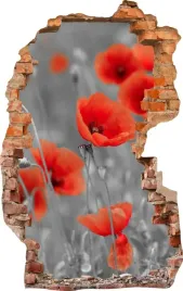 naklejki-na-sciane-fototapeta-dziura-509-kwiaty