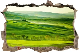 fototapeta-dziura-3d-naklejka-scienna-zielone-pola